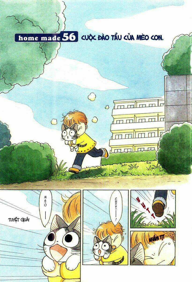 Chi's Sweet Home Chapter 56 trang 1