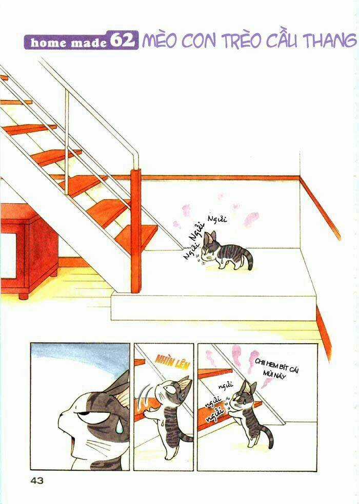 Chi's Sweet Home Chapter 62 trang 1