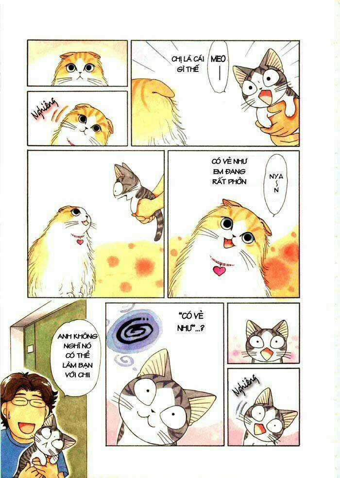 Chi's Sweet Home Chapter 63 trang 5