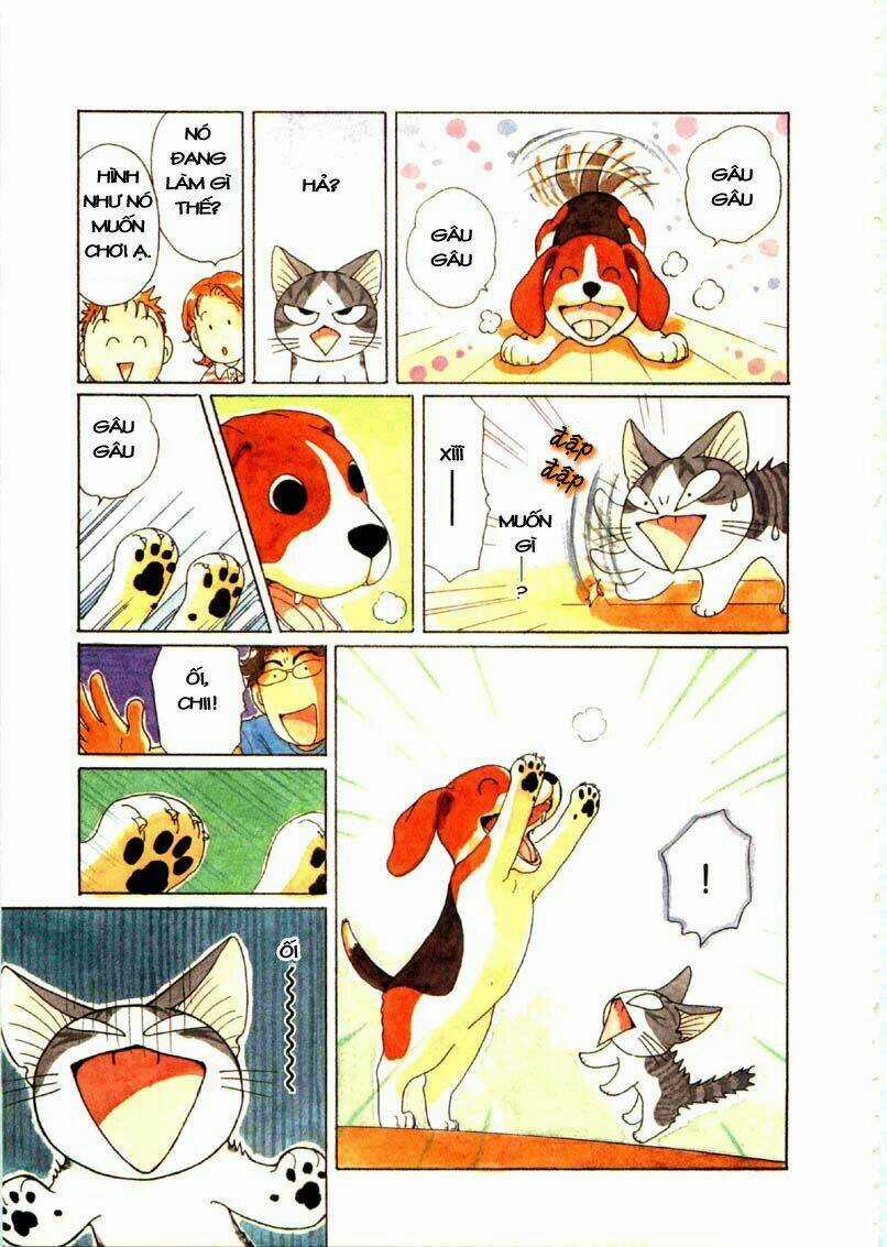 Chi's Sweet Home Chapter 64 trang 5