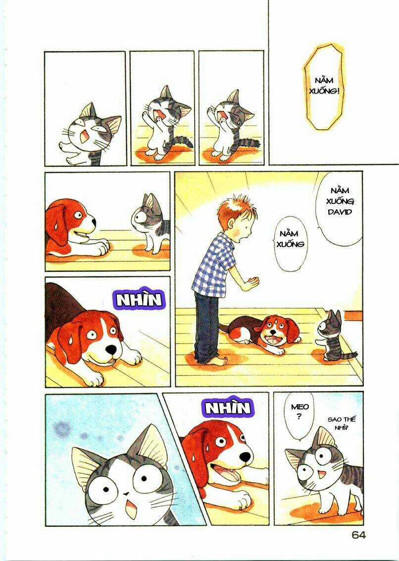 Chi's Sweet Home Chapter 64 trang 6