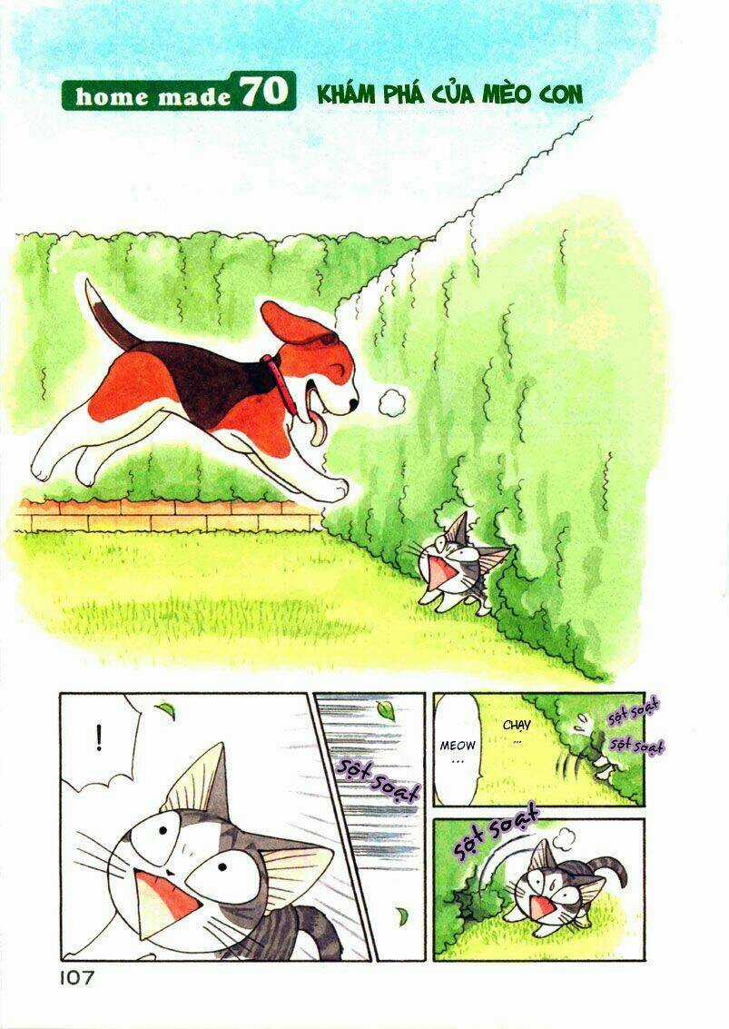 Chi's Sweet Home Chapter 70 trang 1