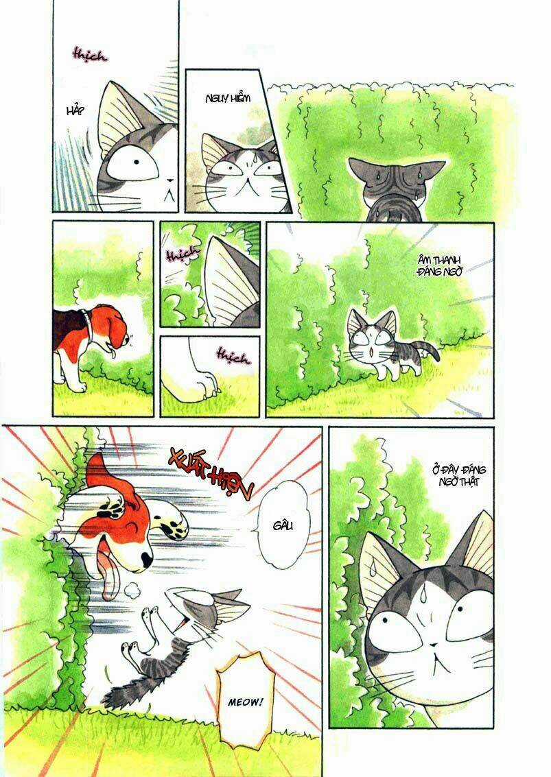 Chi's Sweet Home Chapter 70 trang 5