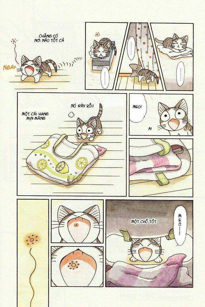 Chi's Sweet Home Chapter 76 trang 7