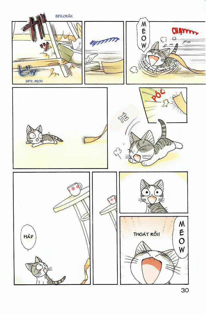 Chi's Sweet Home Chapter 78 trang 5