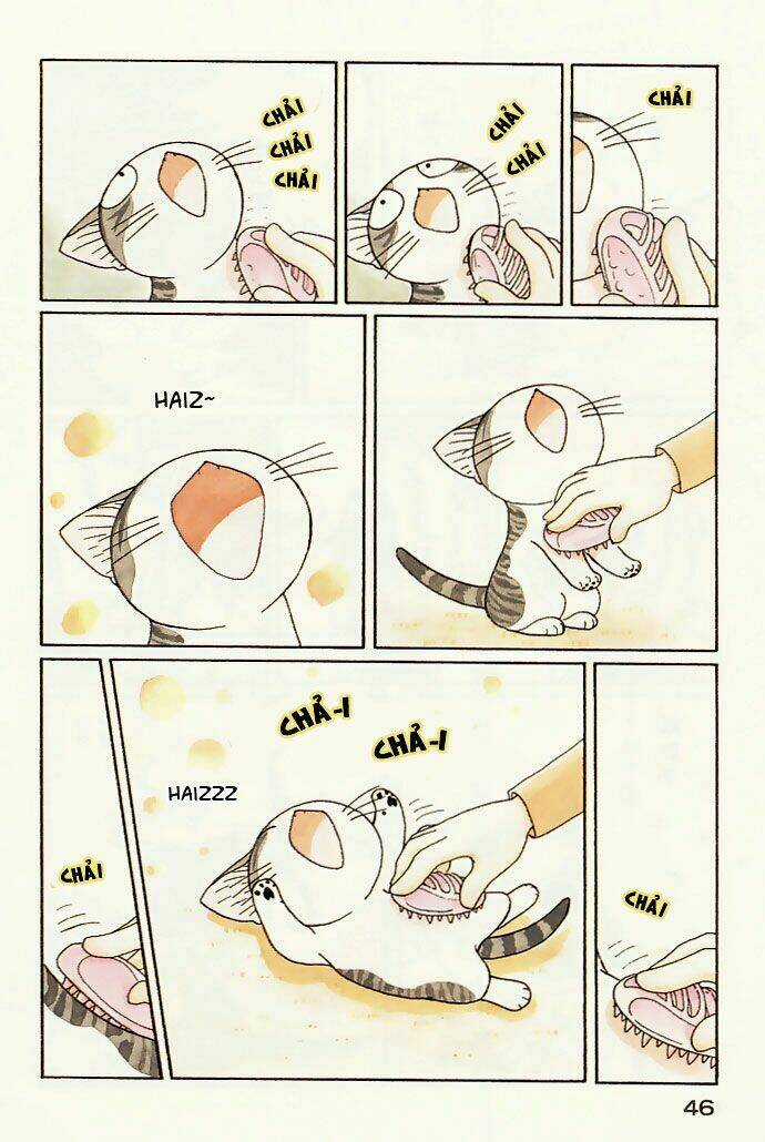 Chi's Sweet Home Chapter 80 trang 4