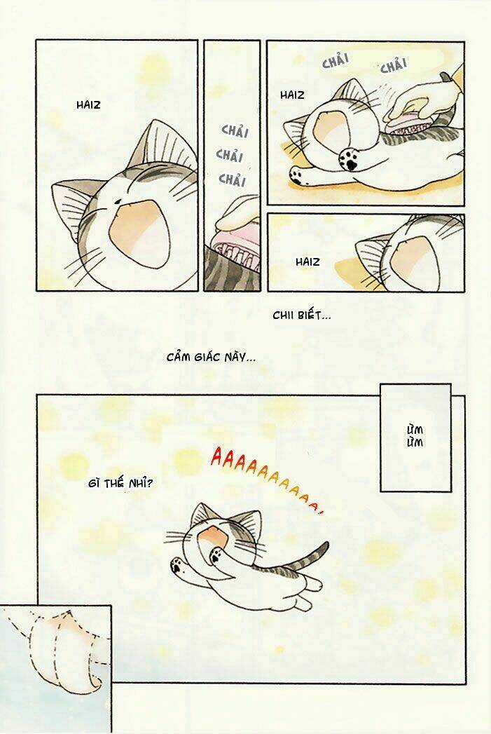 Chi's Sweet Home Chapter 80 trang 5