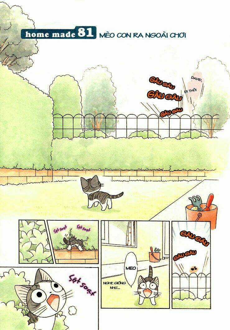 Chi's Sweet Home Chapter 81 trang 2