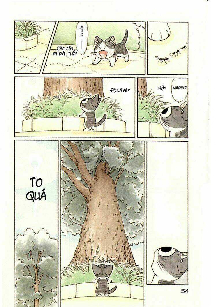 Chi's Sweet Home Chapter 81 trang 5