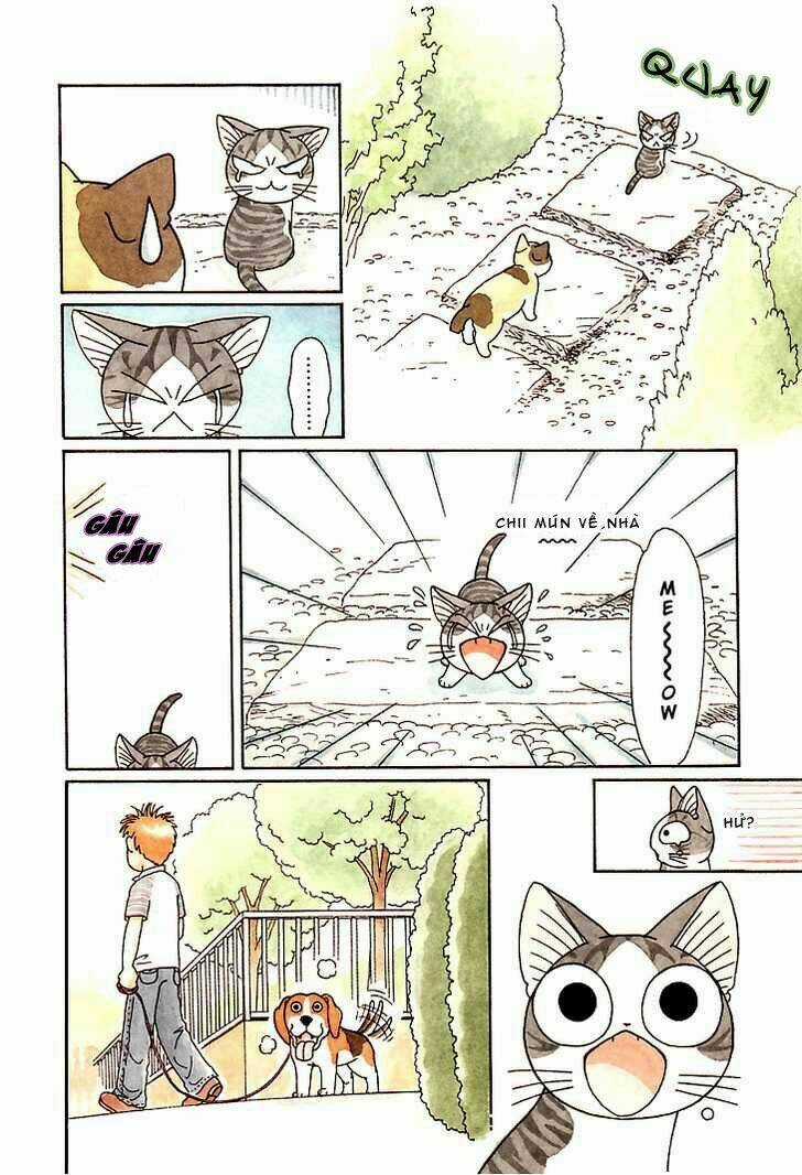 Chi's Sweet Home Chapter 85 trang 7