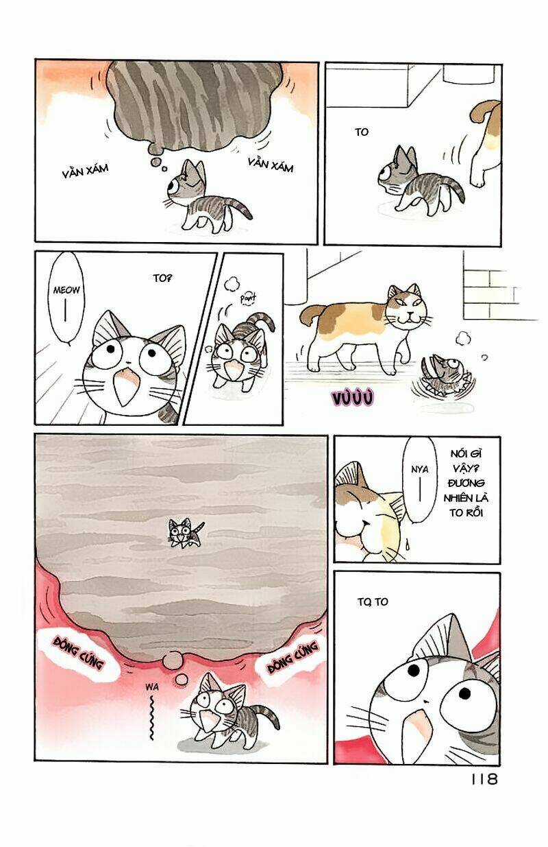 Chi's Sweet Home Chapter 89 trang 4