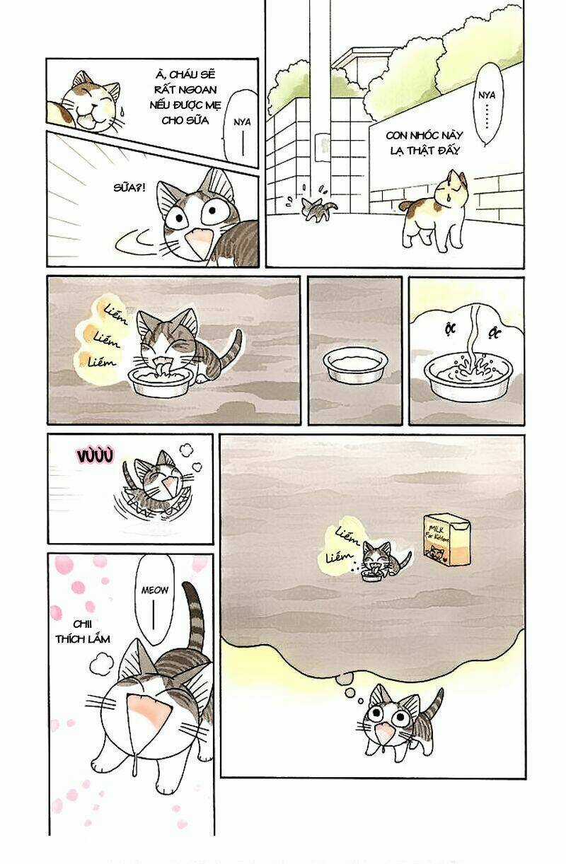 Chi's Sweet Home Chapter 89 trang 5