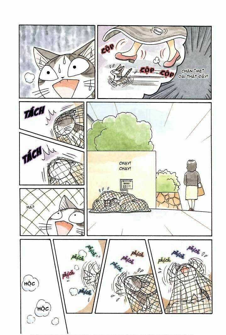 Chi's Sweet Home Chapter 90 trang 6