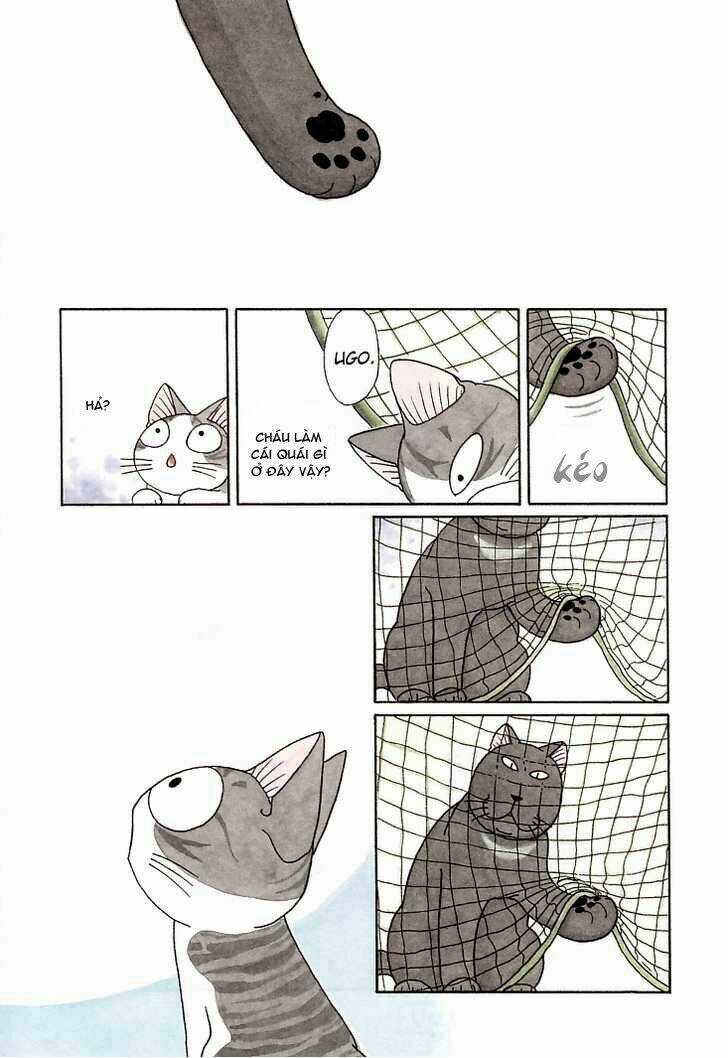 Chi's Sweet Home Chapter 90 trang 8