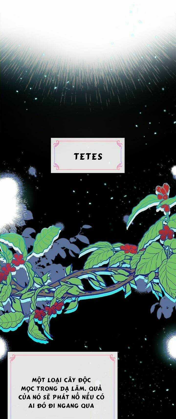 Chị Tôi Đã Nhặt Về Nhà Một Nam Chính Quyến Rũ Chapter 11 trang 2