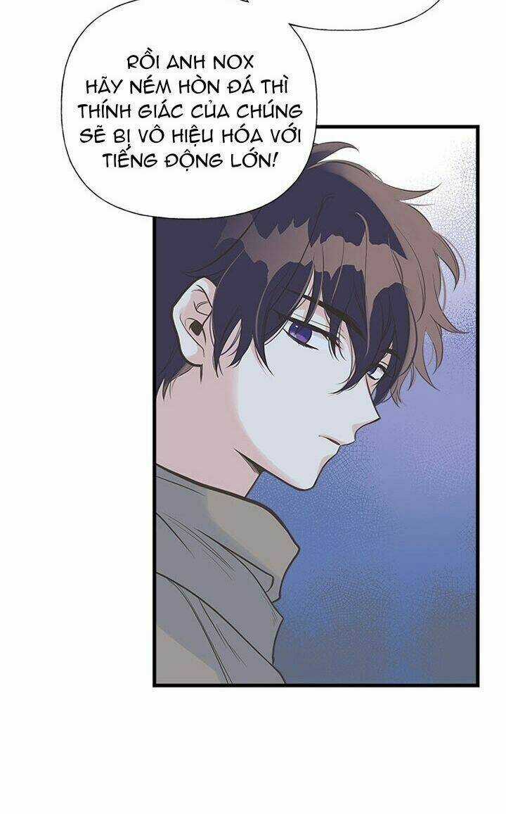 Chị Tôi Đã Nhặt Về Nhà Một Nam Chính Quyến Rũ Chapter 11 trang 20