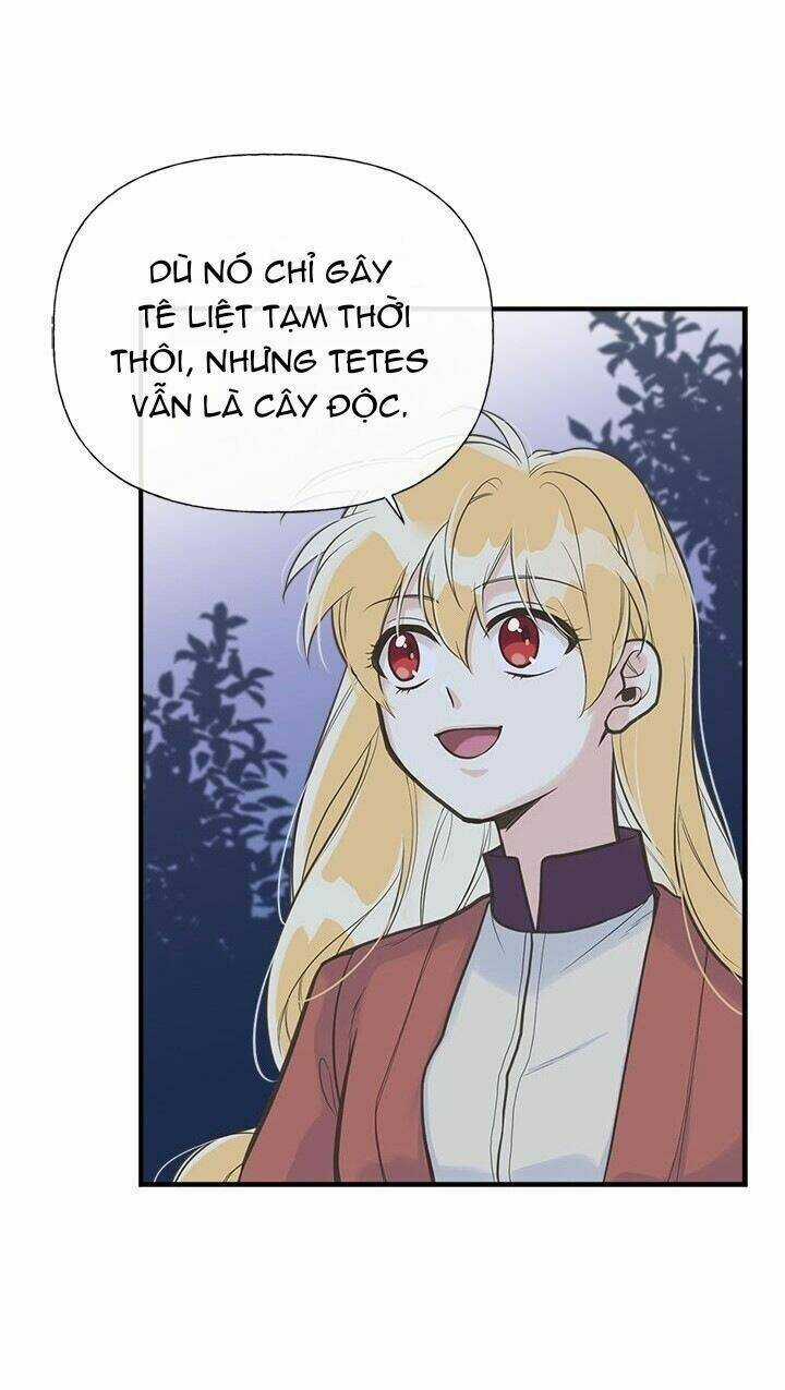 Chị Tôi Đã Nhặt Về Nhà Một Nam Chính Quyến Rũ Chapter 11 trang 5