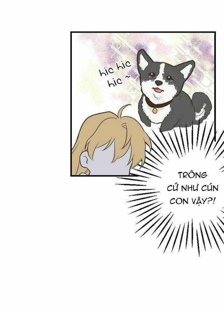 Chị Tôi Đã Nhặt Về Nhà Một Nam Chính Quyến Rũ Chapter 12 trang 40