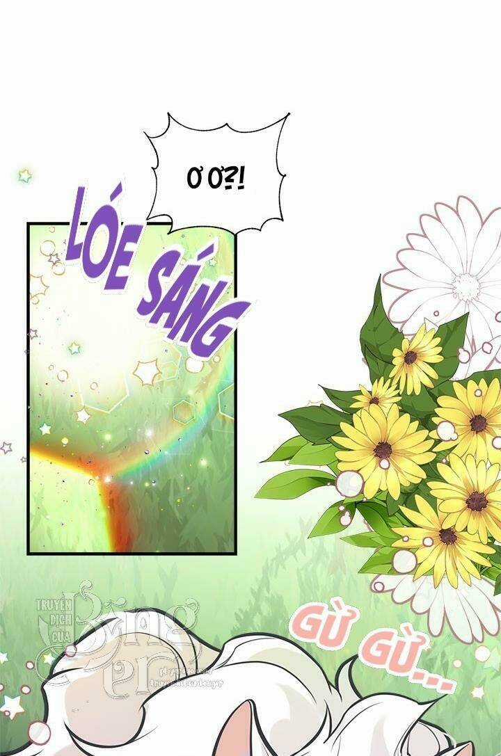 Chị Tôi Đã Nhặt Về Nhà Một Nam Chính Quyến Rũ Chapter 51 trang 35