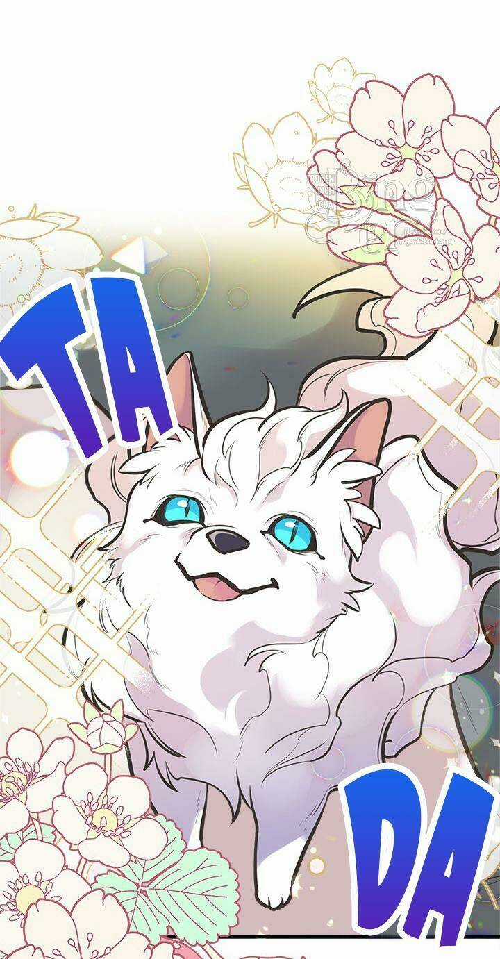 Chị Tôi Đã Nhặt Về Nhà Một Nam Chính Quyến Rũ Chapter 51 trang 60