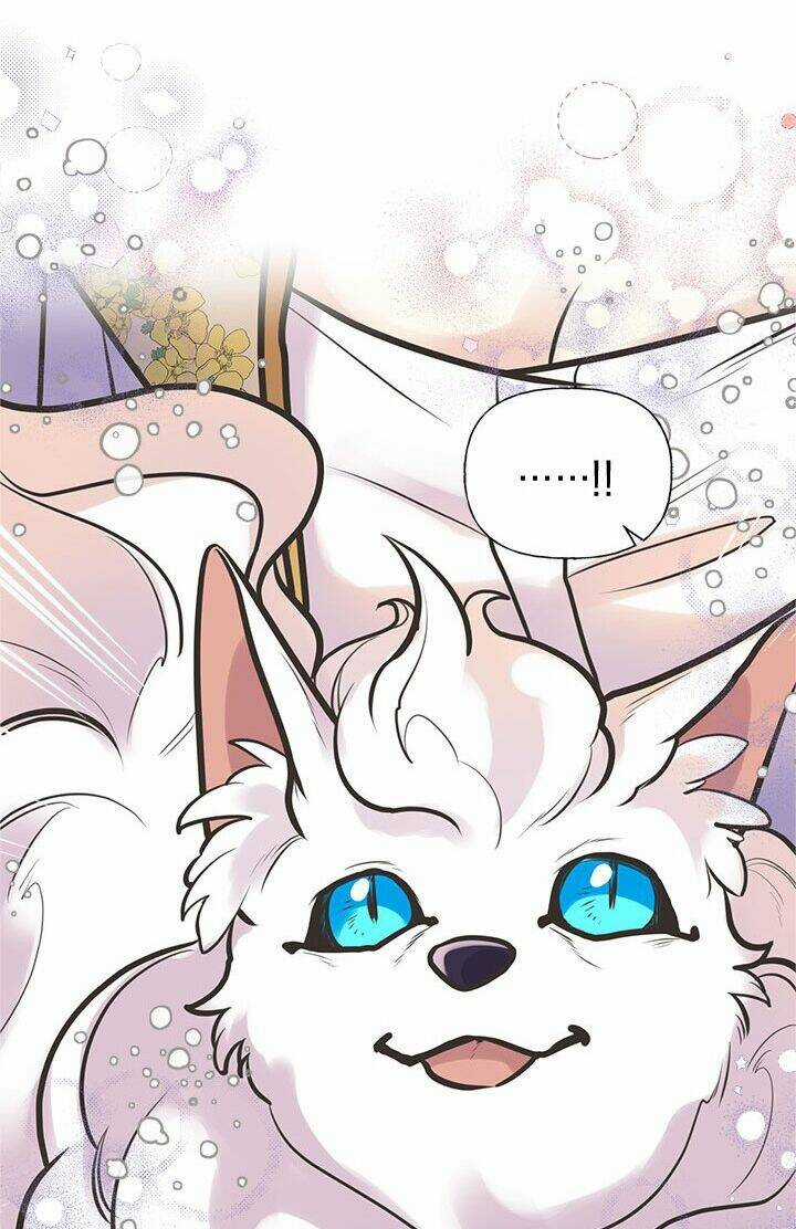 Chị Tôi Đã Nhặt Về Nhà Một Nam Chính Quyến Rũ Chapter 52 trang 21