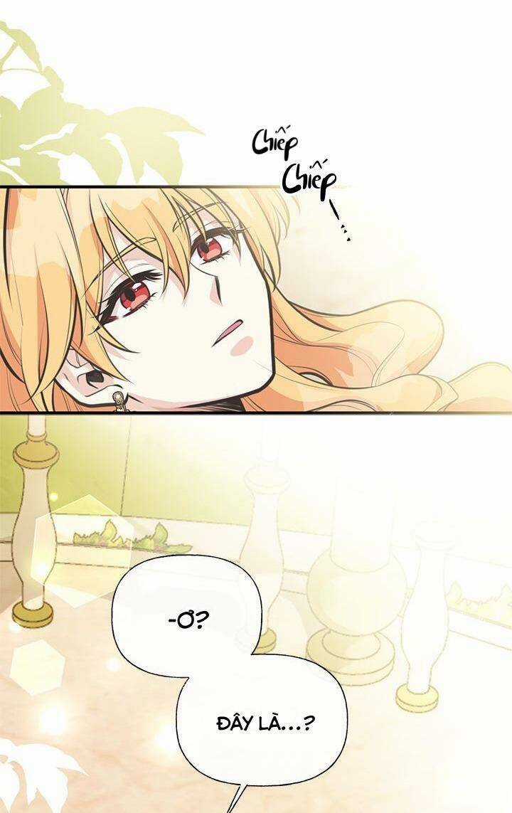 Chị Tôi Đã Nhặt Về Nhà Một Nam Chính Quyến Rũ Chapter 70 trang 68