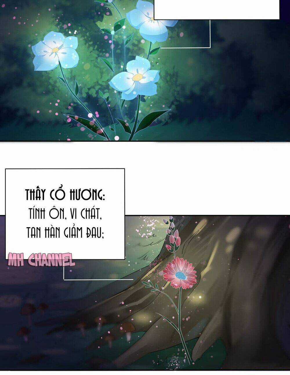 Chi Tôn Đồng Thuật Sư: Tuyệt Thế Đại Tiểu Thư Chapter 16 trang 5