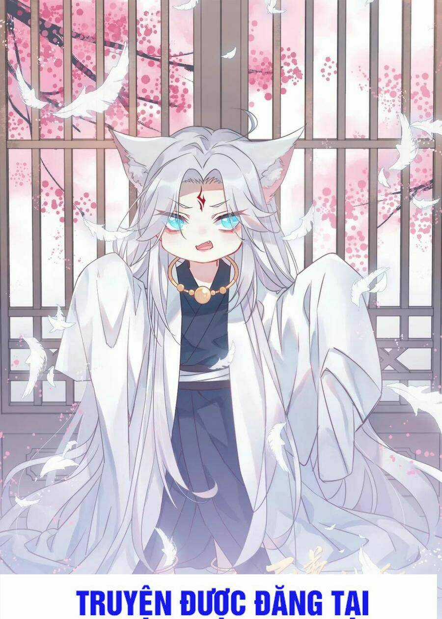 Chi Tôn Đồng Thuật Sư: Tuyệt Thế Đại Tiểu Thư Chapter 198 trang 0