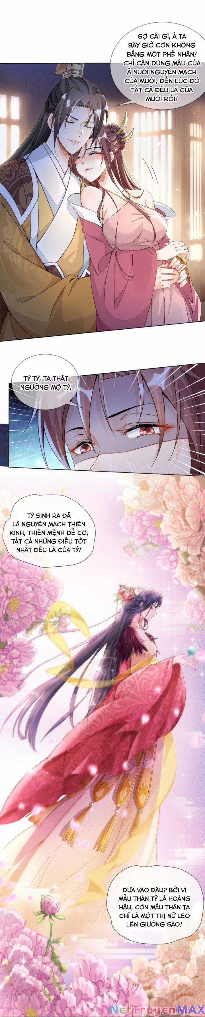 Chí Tôn Thần Y: Đế Quân Muốn Gả Thấp Chapter 2 trang 7