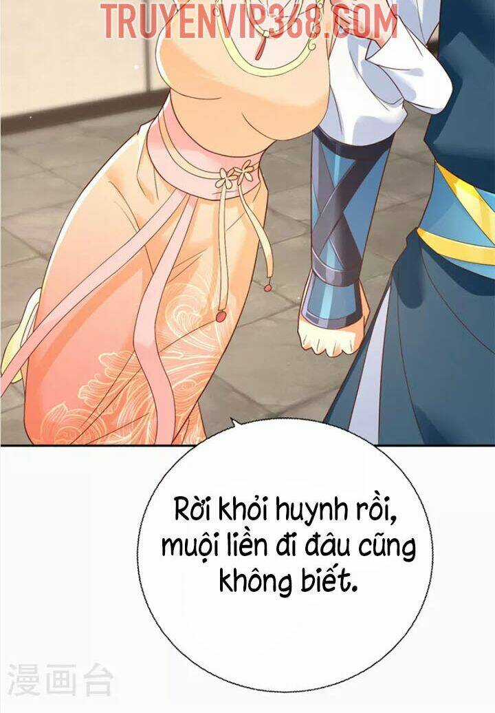 Chí Tôn Trọng Sinh Chapter 203 trang 17