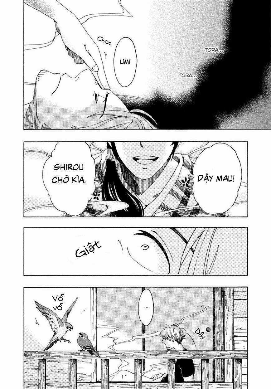 Chichi Kogusa Chapter 6 trang 19