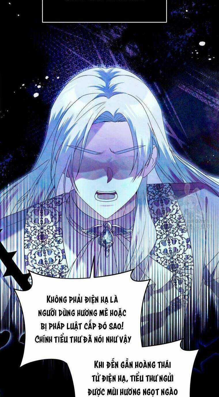 Chiếc Túi Bí Mật Của Tiểu Thư Xấu Xí Chapter 32 trang 17