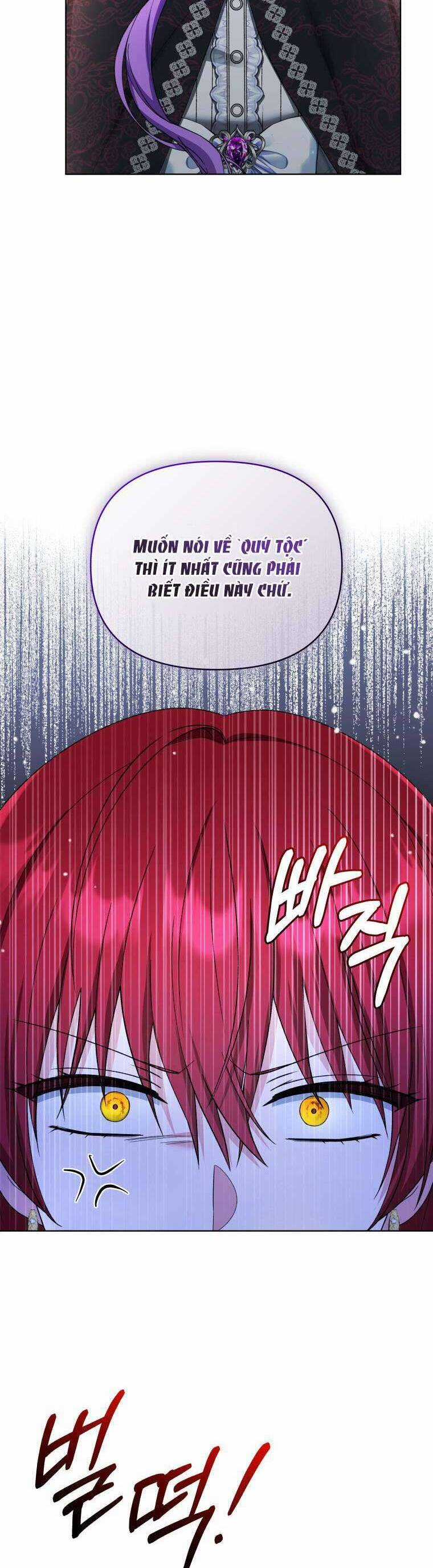 Chiếc Túi Bí Mật Của Tiểu Thư Xấu Xí Chương 40 trang 25