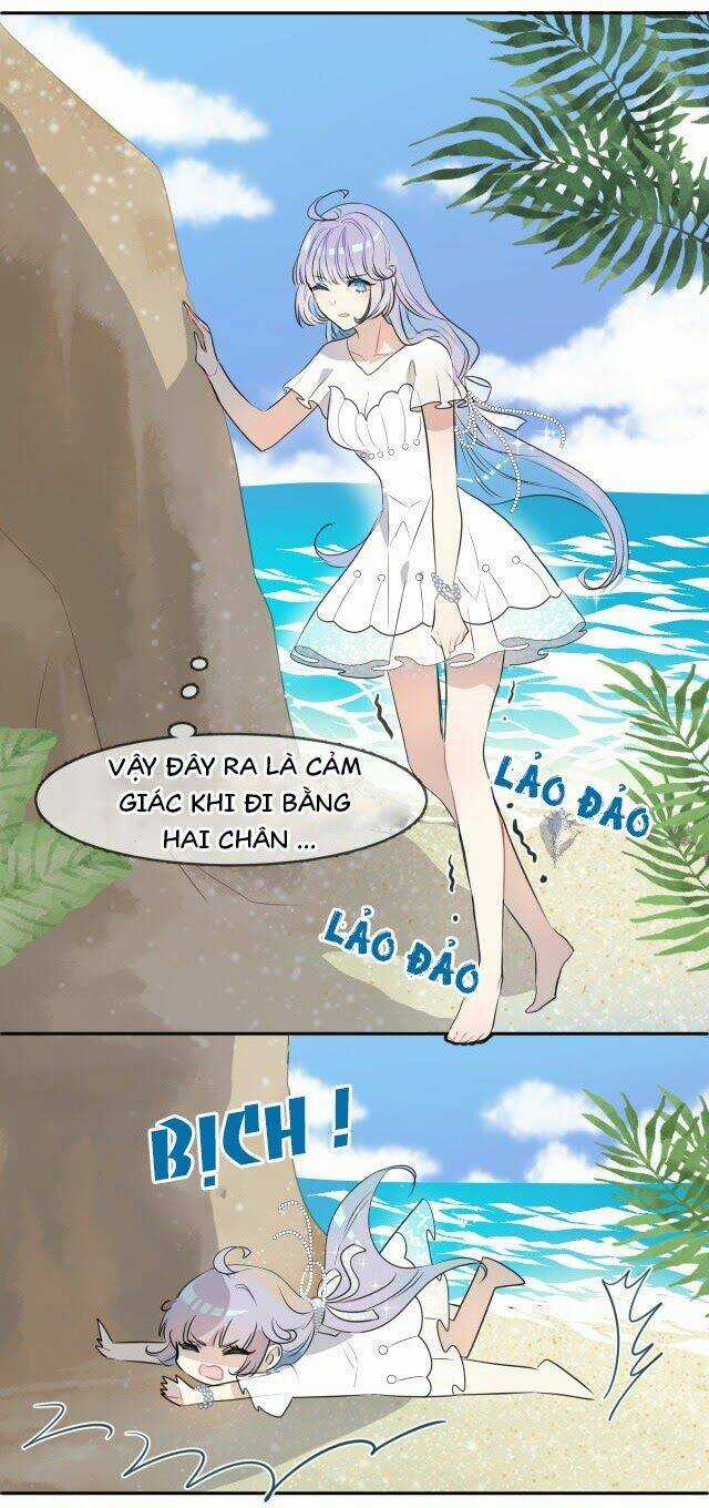Chiếc Váy Của Người Cá Chapter 1 trang 13