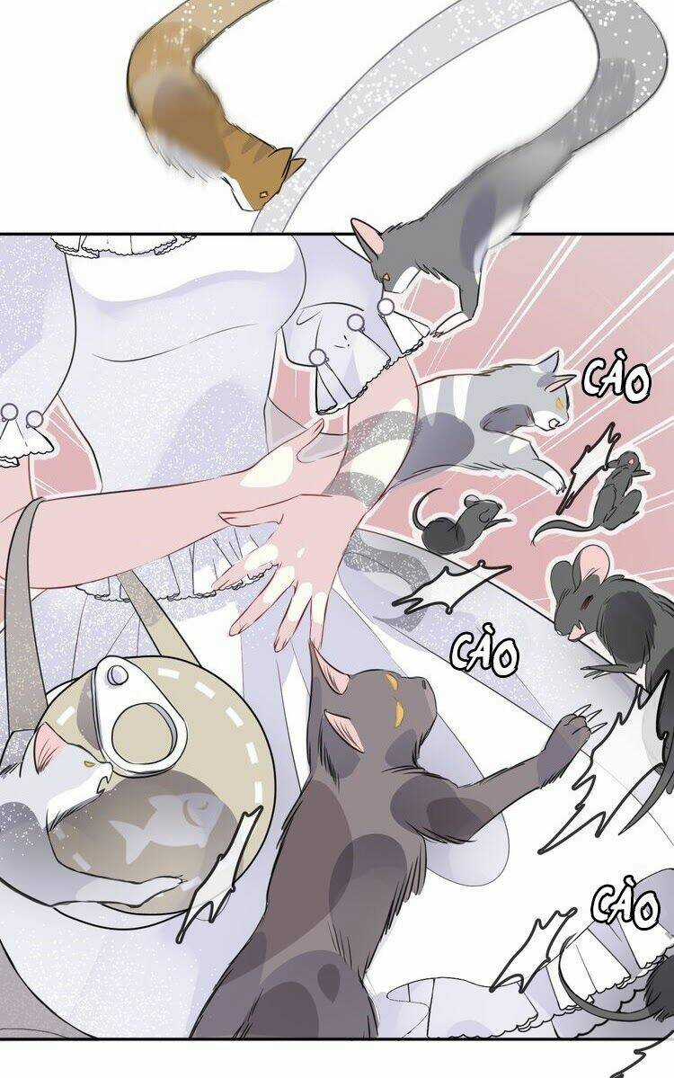 Chiếc Váy Của Người Cá Chapter 10 trang 22