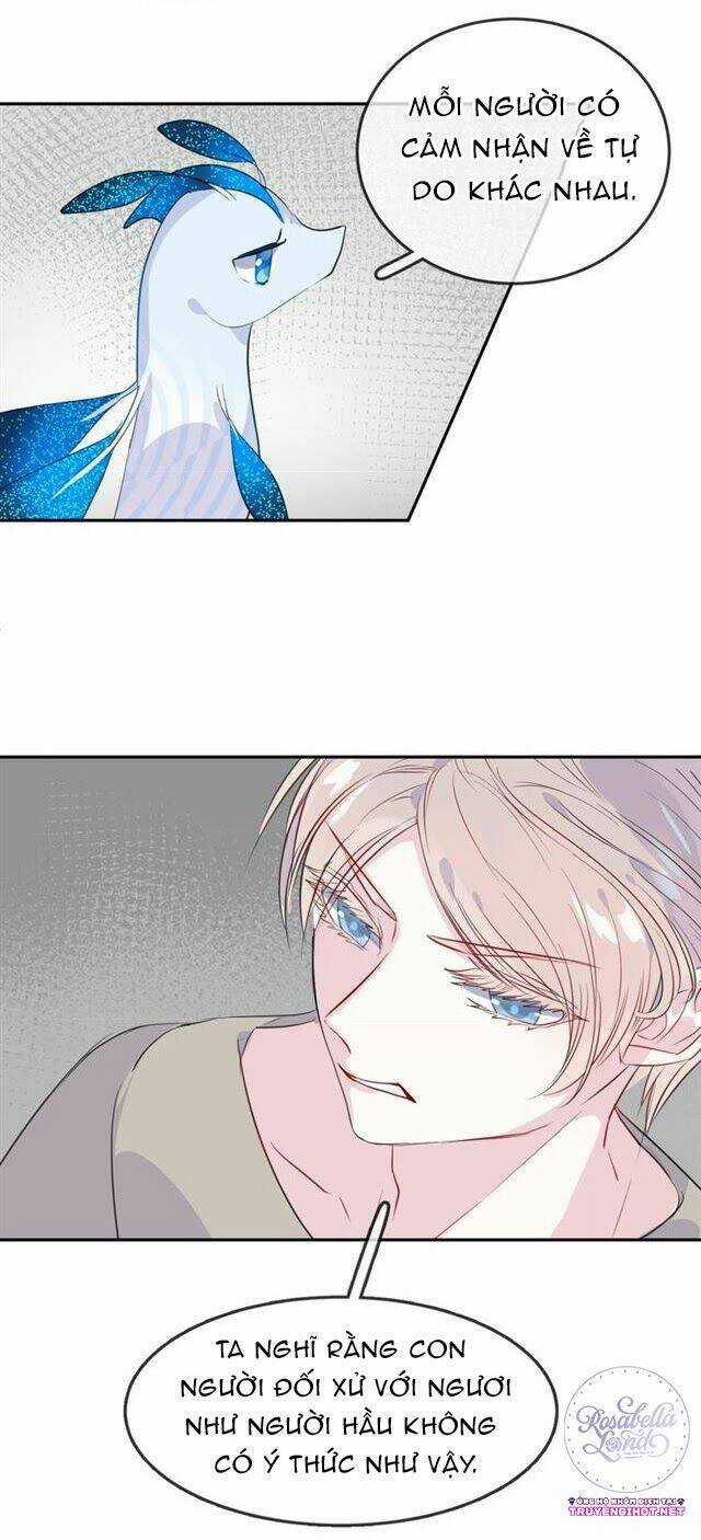 Chiếc Váy Của Người Cá Chapter 21 trang 11