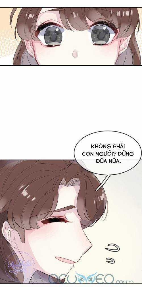 Chiếc Váy Của Người Cá Chapter 24 trang 24