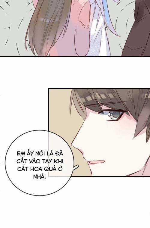 Chiếc Váy Của Người Cá Chapter 26 trang 15