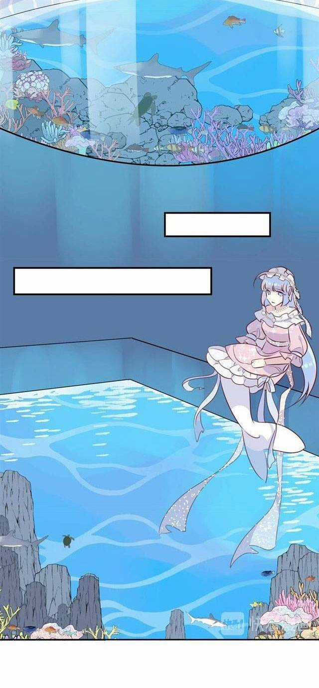 Chiếc Váy Của Người Cá Chapter 41 trang 28