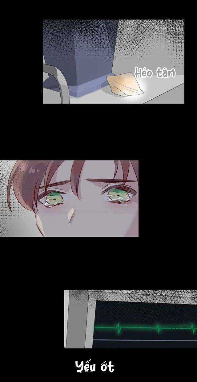 Chiếc Váy Của Người Cá Chapter 41 trang 3