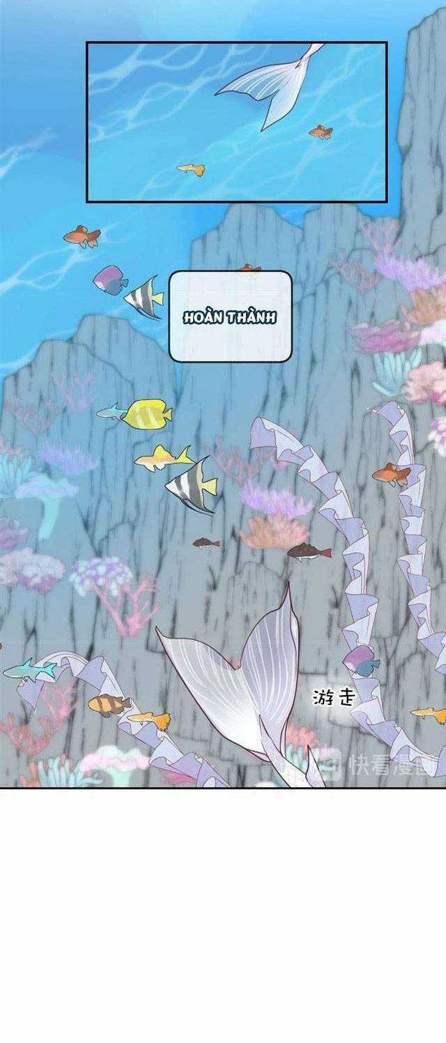 Chiếc Váy Của Người Cá Chapter 42 trang 17