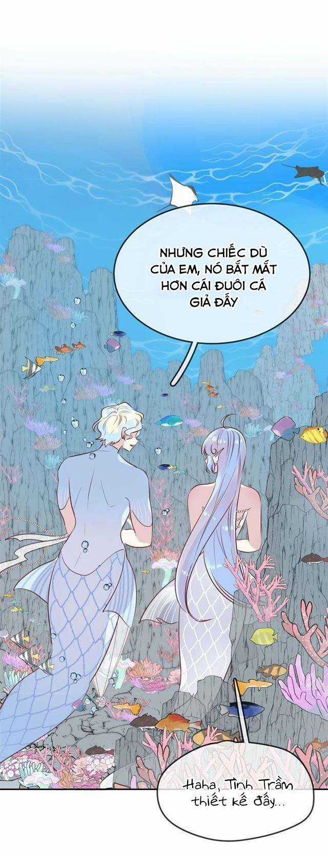 Chiếc Váy Của Người Cá Chapter 42 trang 25