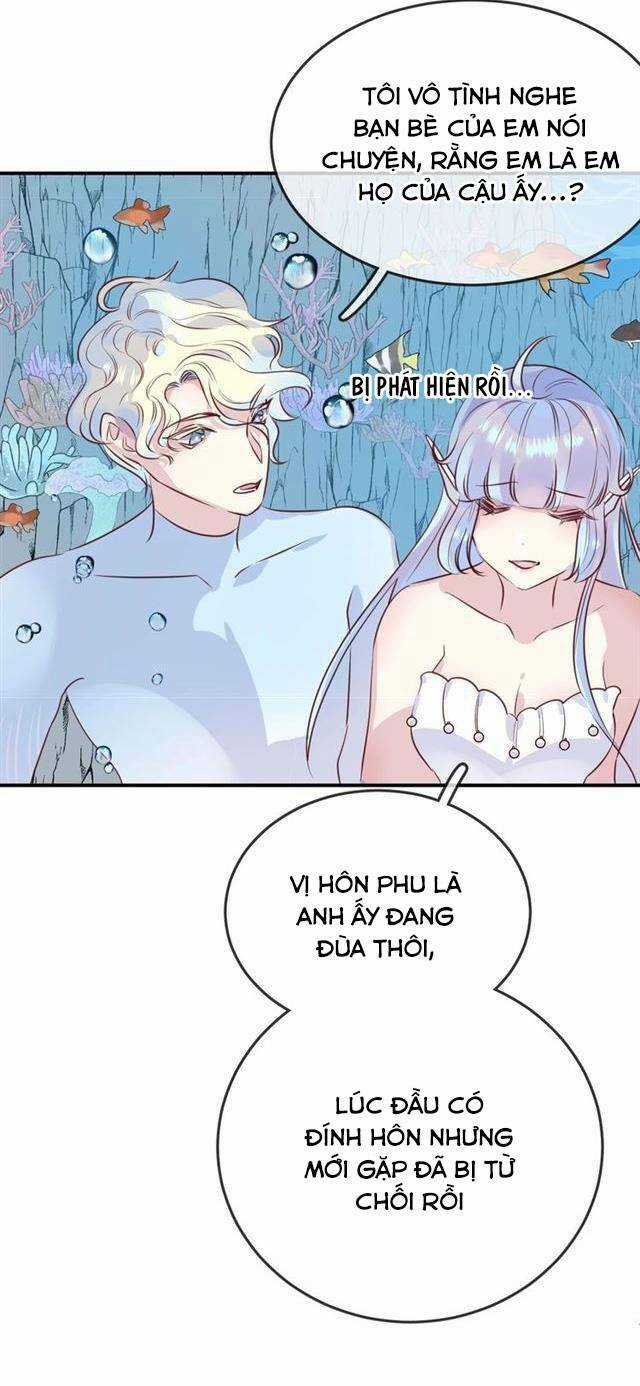 Chiếc Váy Của Người Cá Chapter 42 trang 27