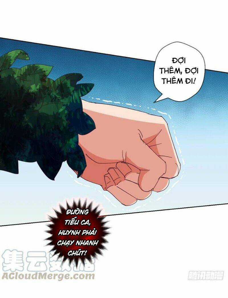 Chiếm Cái Đỉnh Núi Làm Đại Vương Chapter 120 trang 15