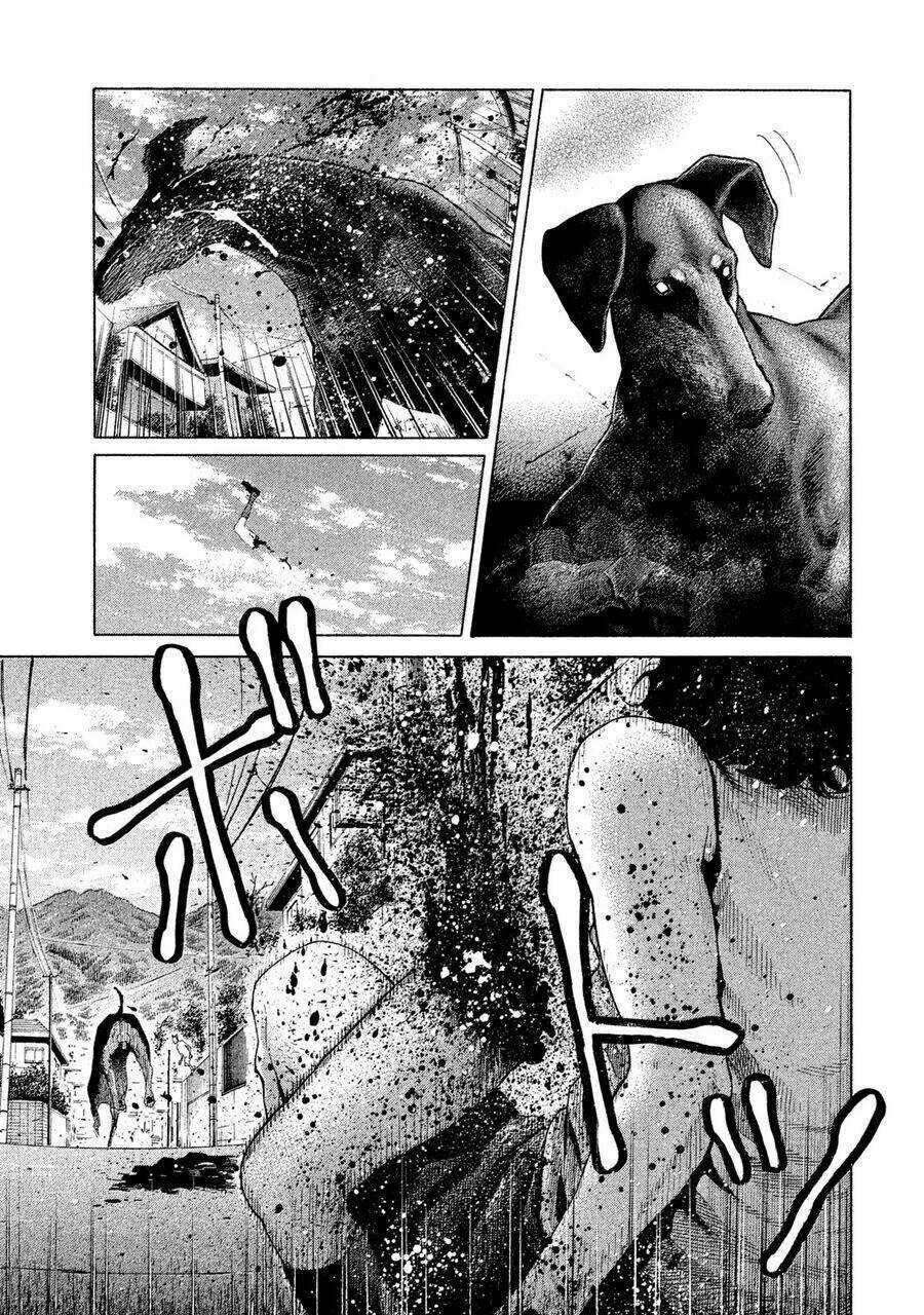 Chiến Binh Cách Mạng: Người Chó Còn Trinh Chapter 1 trang 12