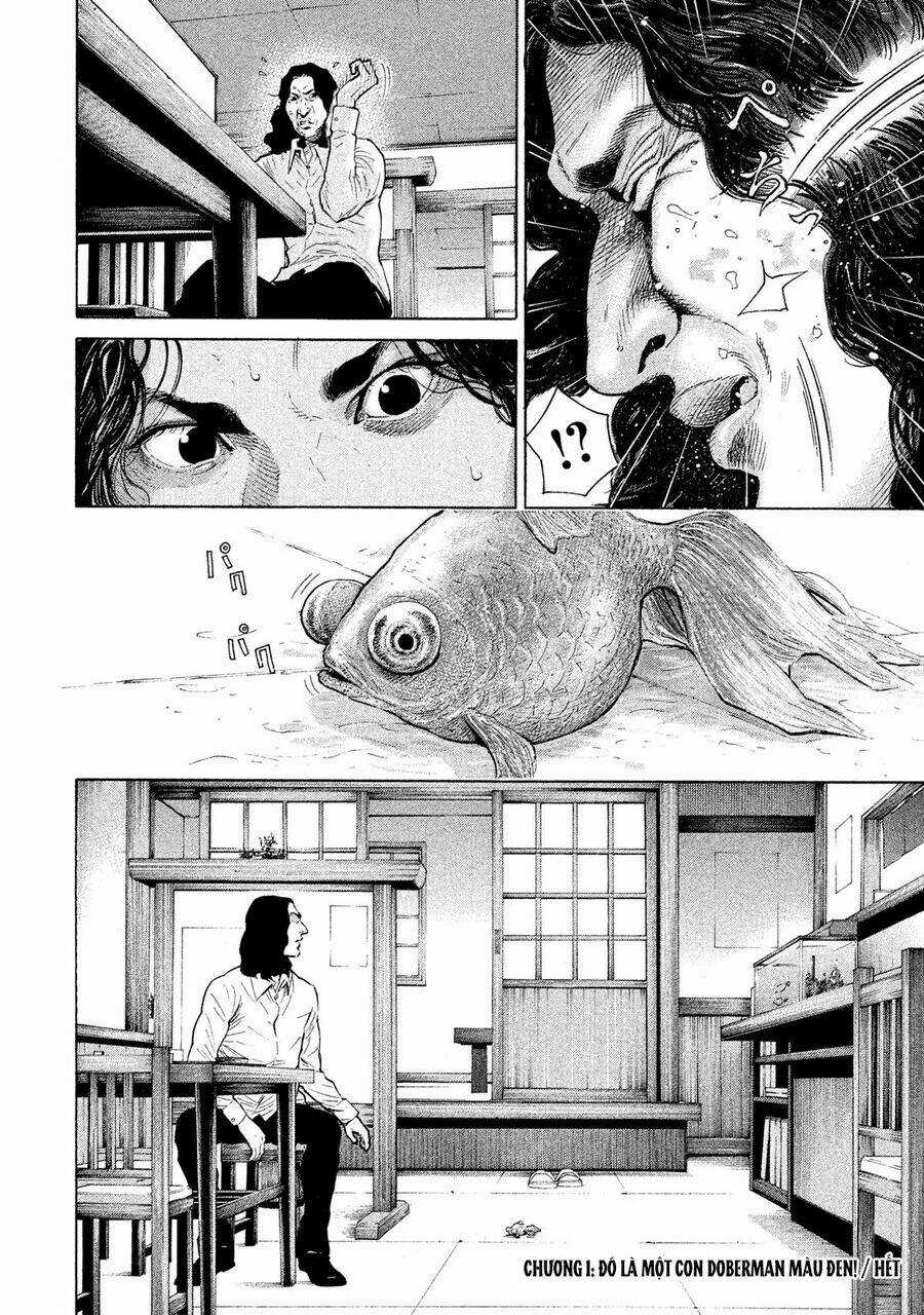 Chiến Binh Cách Mạng: Người Chó Còn Trinh Chapter 1 trang 37