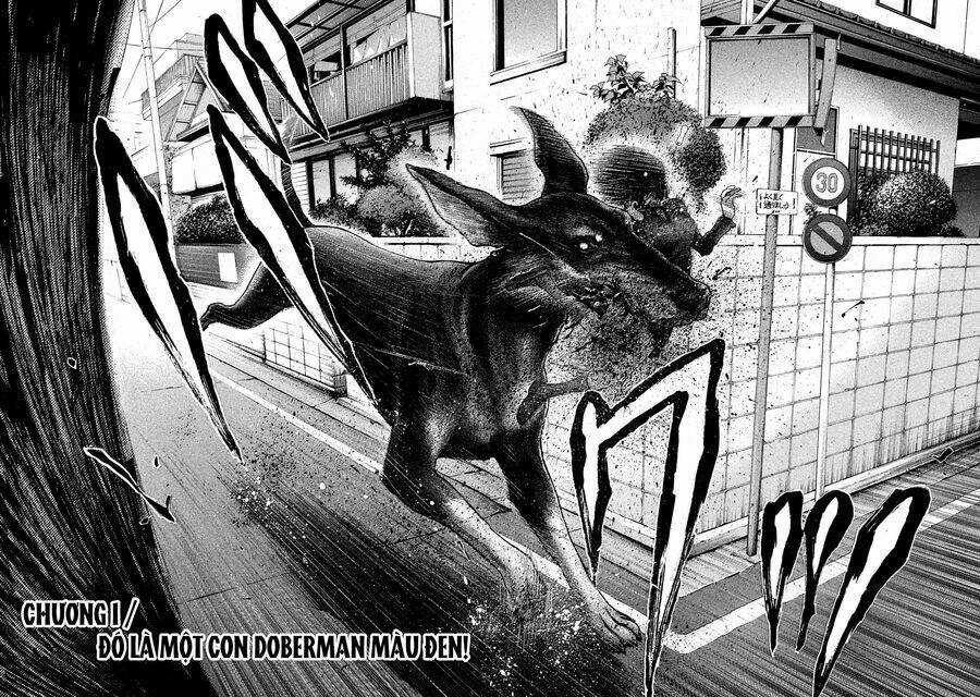 Chiến Binh Cách Mạng: Người Chó Còn Trinh Chapter 1 trang 8