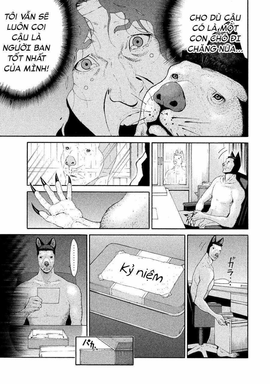 Chiến Binh Cách Mạng: Người Chó Còn Trinh Chapter 14 trang 13