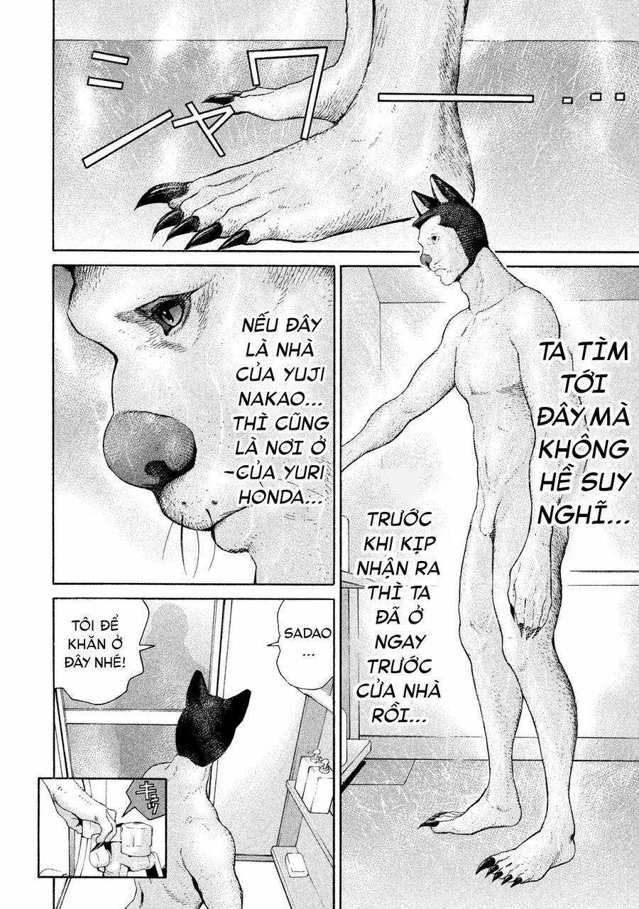 Chiến Binh Cách Mạng: Người Chó Còn Trinh Chapter 15 trang 6