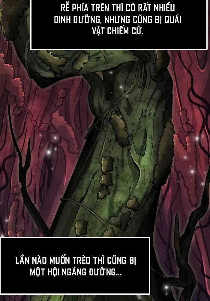 Chiến Binh Hồi Quy Chương 54 trang 25